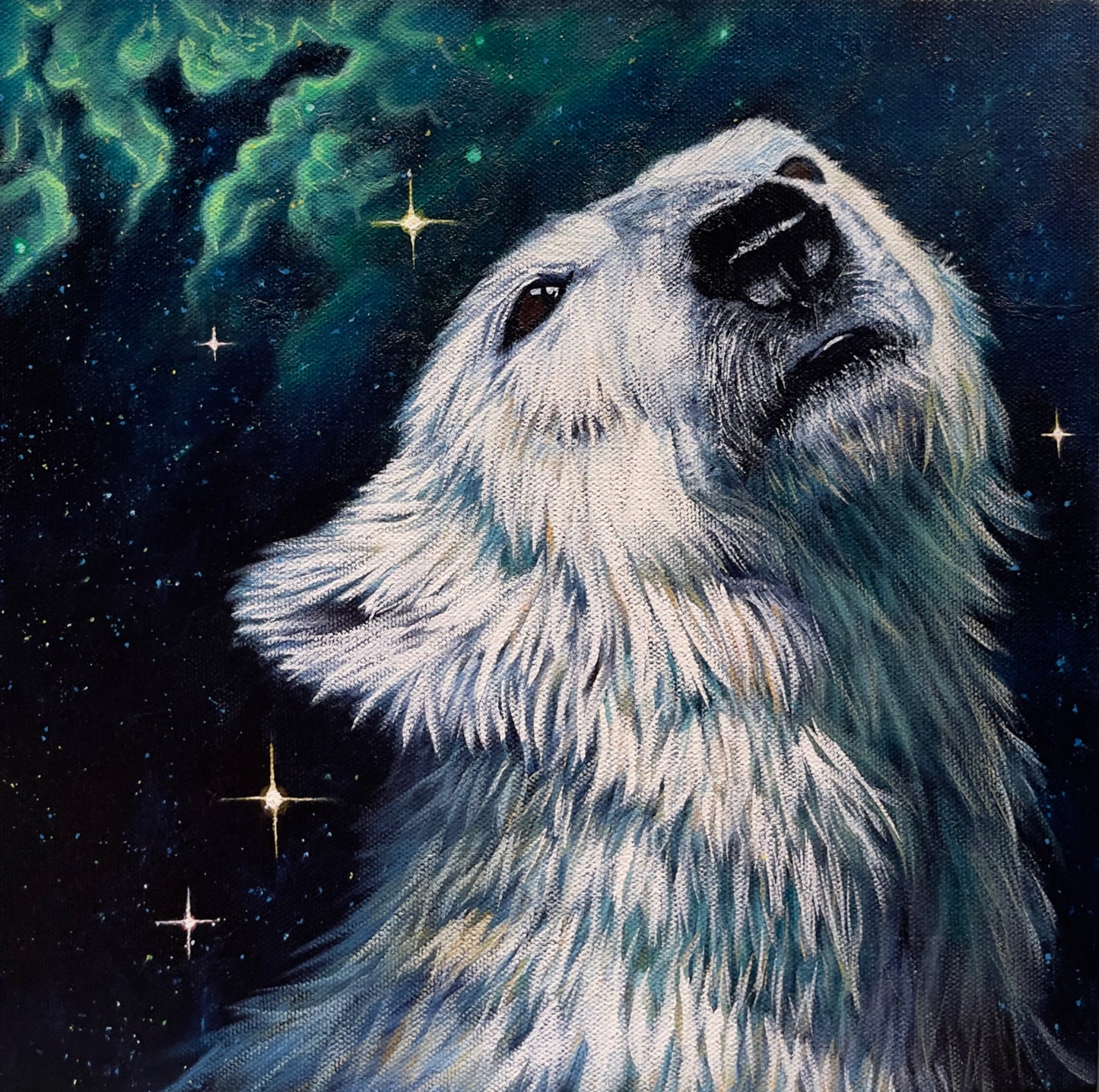 Canopus