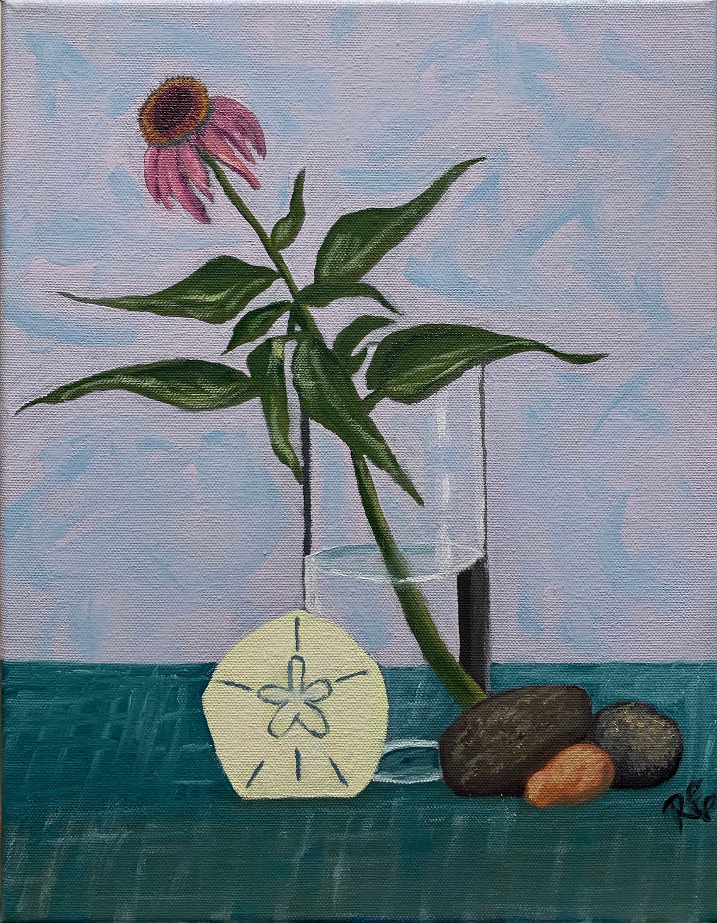 Flower and Sand Dollar Still Life