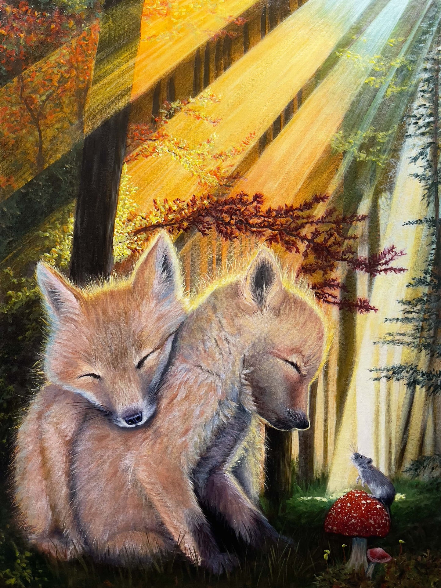 The Warmth of Home