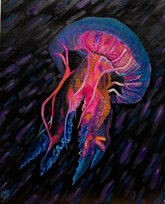 Expressive Jellyfish Study