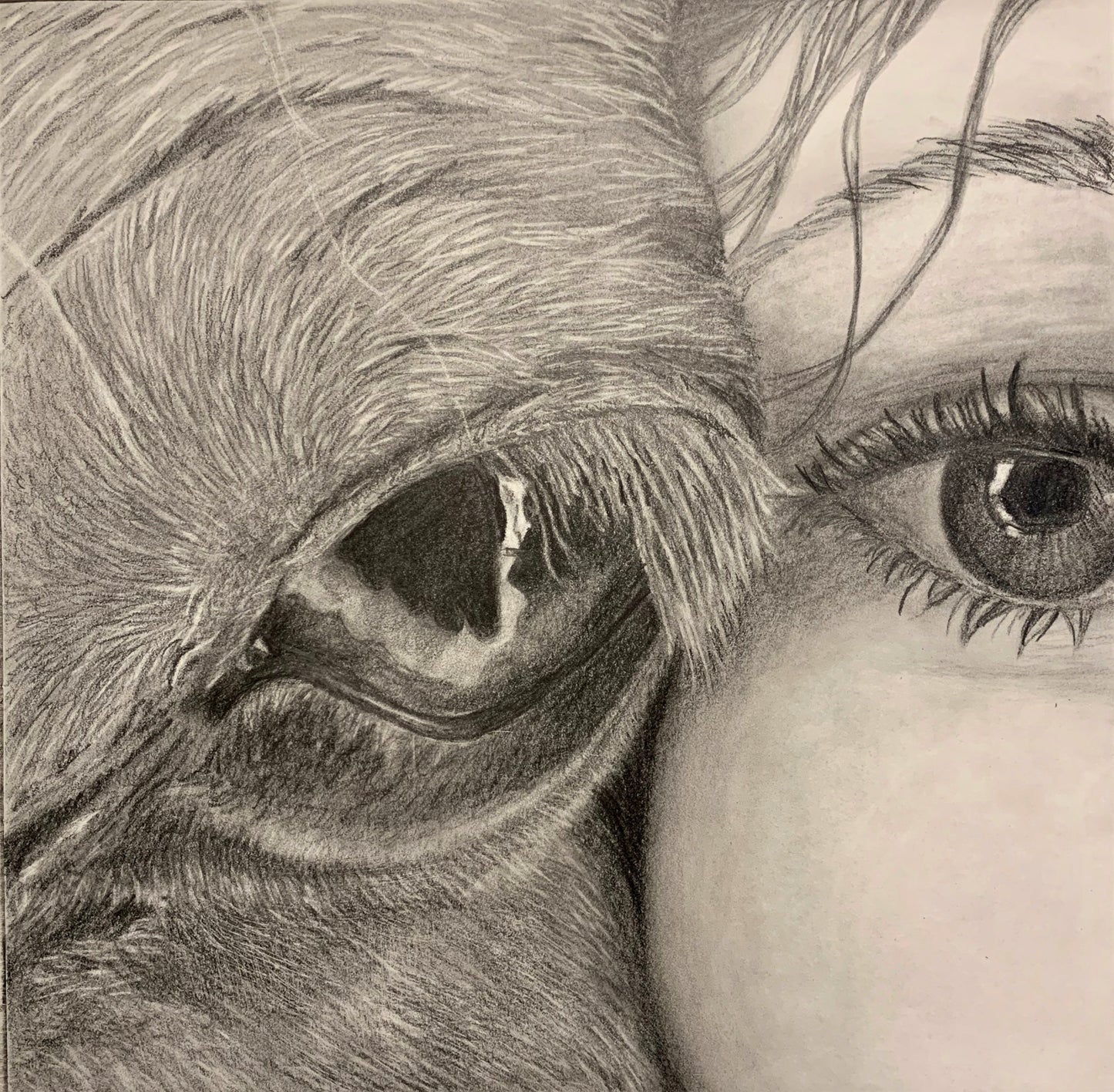 Girl and Horse Study Drawing
