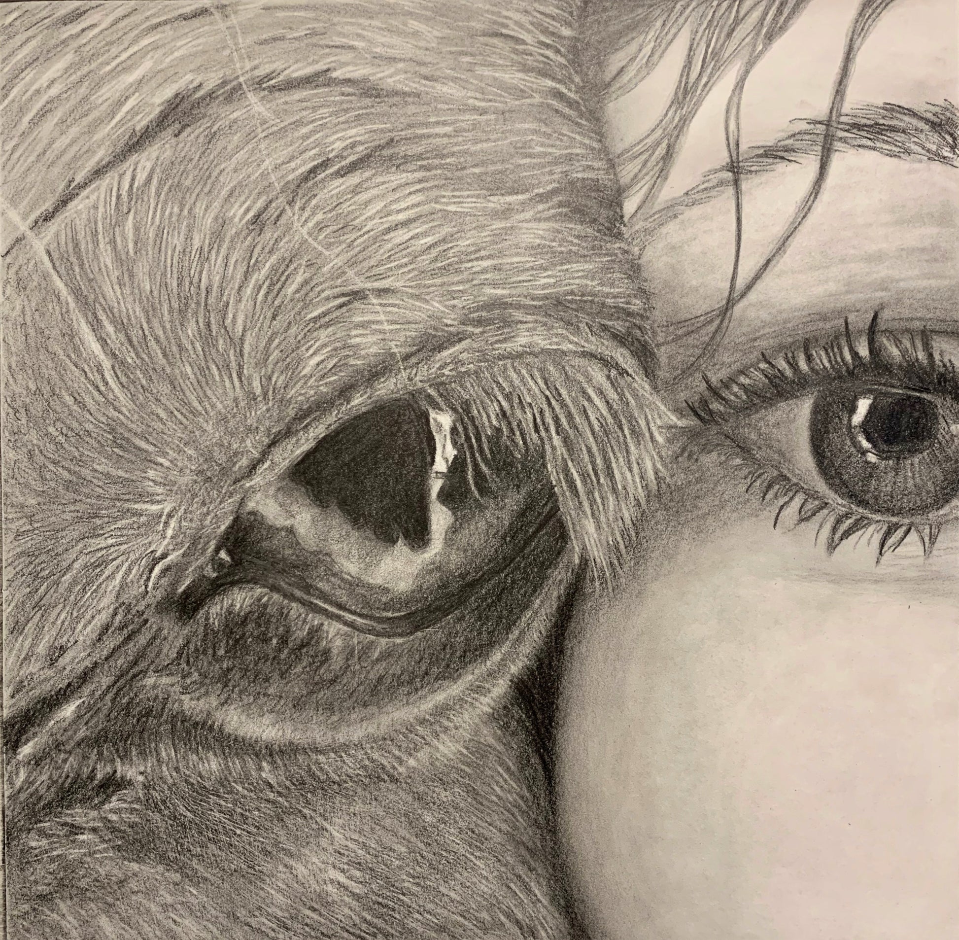 Girl and Horse Study Drawing