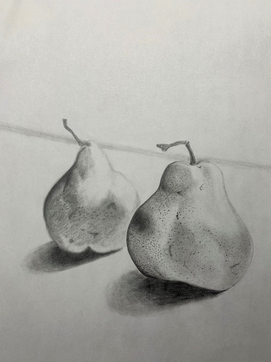 Pears Study Drawing