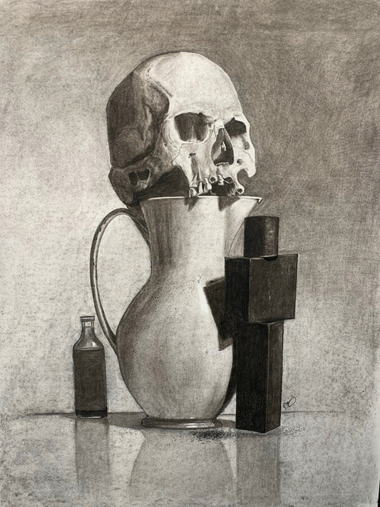 Skull Still Life Study Drawing
